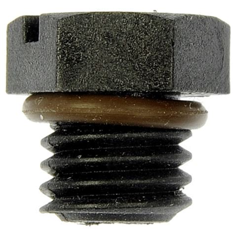 fuel filter bleeder screw